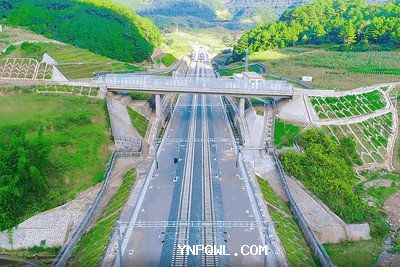 中老鐵路運(yùn)輸在農(nóng)產(chǎn)品出口方面有哪些挑戰(zhàn)？